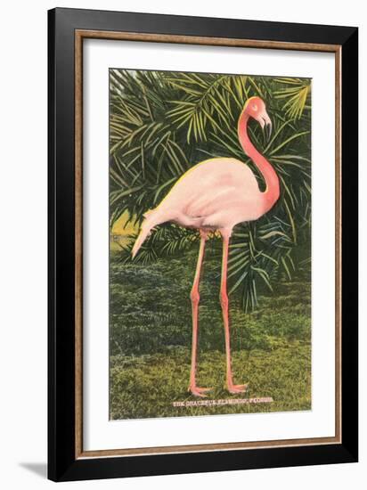 Flamingo-null-Framed Art Print