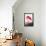 Flamingo-John James Audubon-Framed Stretched Canvas displayed on a wall