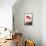 Flamingo-John James Audubon-Framed Stretched Canvas displayed on a wall