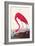 Flamingo-John James Audubon-Framed Art Print