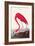 Flamingo-John James Audubon-Framed Art Print