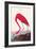 Flamingo-John James Audubon-Framed Art Print