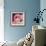 Flamingo-Kirstie Adamson-Framed Giclee Print displayed on a wall