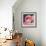 Flamingo-Kirstie Adamson-Framed Giclee Print displayed on a wall