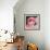 Flamingo-Kirstie Adamson-Framed Giclee Print displayed on a wall