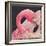 Flamingo-Kirstie Adamson-Framed Giclee Print