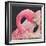 Flamingo-Kirstie Adamson-Framed Giclee Print