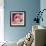 Flamingo-Kirstie Adamson-Framed Giclee Print displayed on a wall