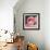Flamingo-Kirstie Adamson-Framed Giclee Print displayed on a wall