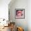 Flamingo-Kirstie Adamson-Framed Giclee Print displayed on a wall