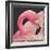 Flamingo-Kirstie Adamson-Framed Giclee Print