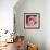 Flamingo-Kirstie Adamson-Framed Giclee Print displayed on a wall