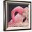 Flamingo-Kirstie Adamson-Framed Giclee Print