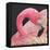 Flamingo-Kirstie Adamson-Framed Premier Image Canvas