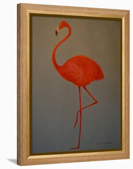 Flamingo-Lincoln Seligman-Framed Premier Image Canvas