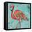 Flamingo-Kellie Day-Framed Stretched Canvas