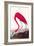 Flamingo-John James Audubon-Framed Art Print