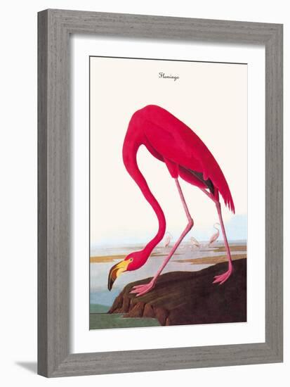 Flamingo-John James Audubon-Framed Art Print