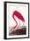 Flamingo-John James Audubon-Framed Art Print