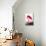 Flamingo-John James Audubon-Mounted Art Print displayed on a wall