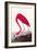 Flamingo-John James Audubon-Framed Art Print