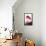 Flamingo-John James Audubon-Framed Stretched Canvas displayed on a wall