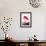 Flamingo-John James Audubon-Framed Premium Giclee Print displayed on a wall