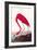 Flamingo-John James Audubon-Framed Premium Giclee Print