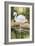 Flamingo-Unknown Unknown-Framed Art Print