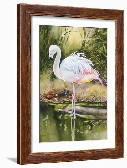 Flamingo-Unknown Unknown-Framed Art Print