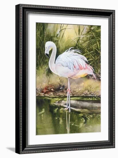 Flamingo-Unknown Unknown-Framed Art Print