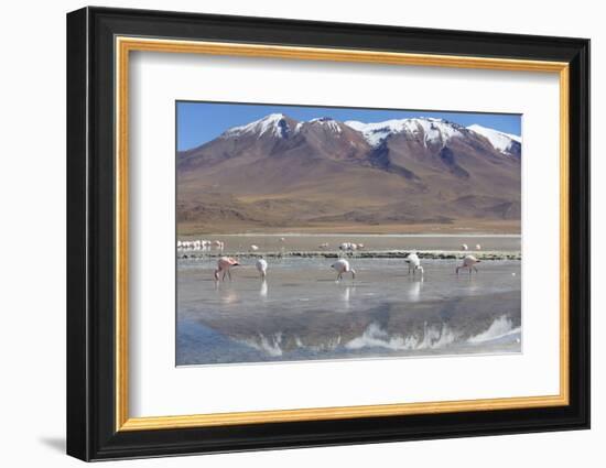 Flamingoes at Laguna Adeyonda on Altiplano, Potosi Department, Bolivia, South America-Ian Trower-Framed Photographic Print