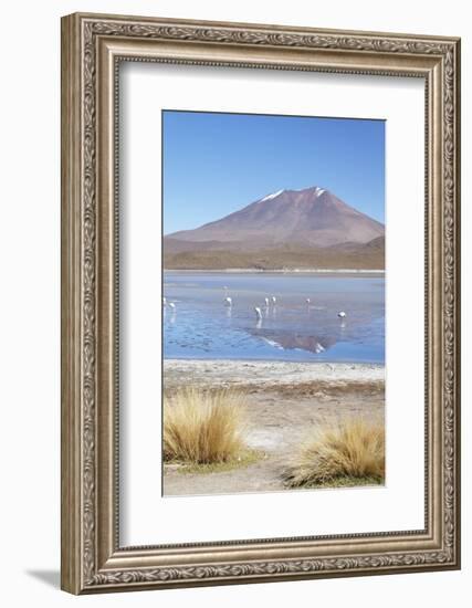 Flamingoes at Laguna Adeyonda on Altiplano, Potosi Department, Bolivia, South America-Ian Trower-Framed Photographic Print