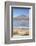 Flamingoes at Laguna Adeyonda on Altiplano, Potosi Department, Bolivia, South America-Ian Trower-Framed Photographic Print