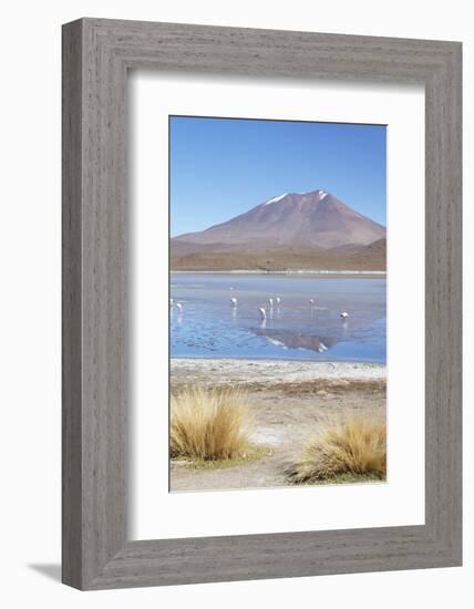 Flamingoes at Laguna Adeyonda on Altiplano, Potosi Department, Bolivia, South America-Ian Trower-Framed Photographic Print