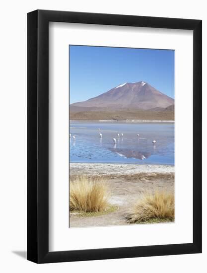 Flamingoes at Laguna Adeyonda on Altiplano, Potosi Department, Bolivia, South America-Ian Trower-Framed Photographic Print