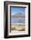 Flamingoes at Laguna Adeyonda on Altiplano, Potosi Department, Bolivia, South America-Ian Trower-Framed Photographic Print