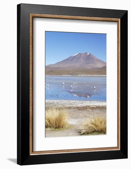 Flamingoes at Laguna Adeyonda on Altiplano, Potosi Department, Bolivia, South America-Ian Trower-Framed Photographic Print