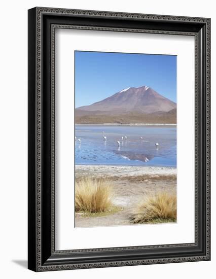 Flamingoes at Laguna Adeyonda on Altiplano, Potosi Department, Bolivia, South America-Ian Trower-Framed Photographic Print