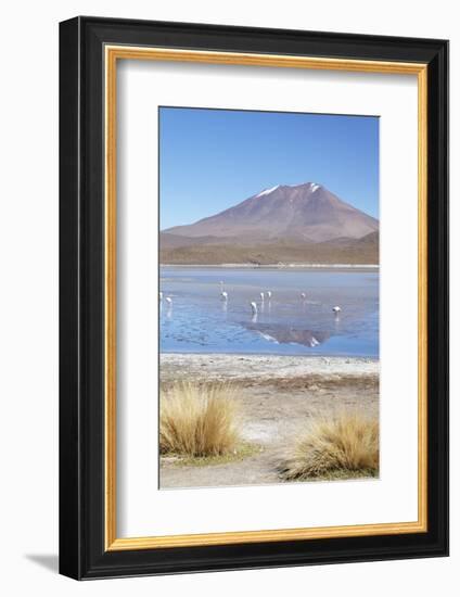 Flamingoes at Laguna Adeyonda on Altiplano, Potosi Department, Bolivia, South America-Ian Trower-Framed Photographic Print