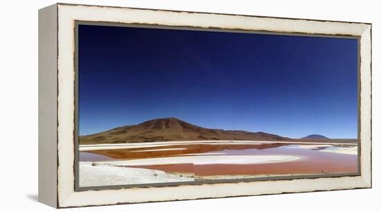 Flamingoes, Bolivian desert, Bolivia-Anthony Asael-Framed Premier Image Canvas