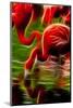 Flamingoes Feeding at the Jacksonville Zoo, Florida, Digitally Altered-Rona Schwarz-Mounted Photographic Print