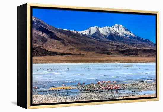 Flamingoes in Laguna Verde ,Bolivia-nok3709001-Framed Premier Image Canvas