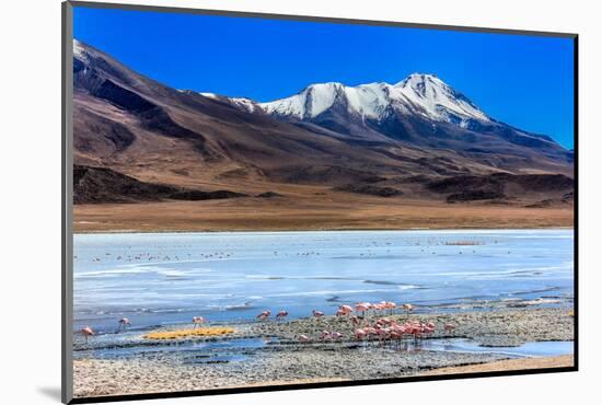 Flamingoes in Laguna Verde ,Bolivia-nok3709001-Mounted Photographic Print