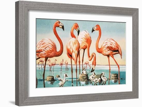 Flamingoes-null-Framed Giclee Print