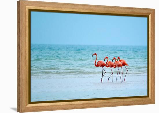 Flamingos and Ocean-Lantern Press-Framed Stretched Canvas