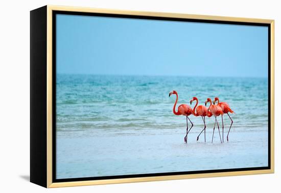 Flamingos and Ocean-Lantern Press-Framed Stretched Canvas