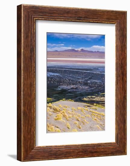 Flamingos at Laguna Colorada (Red Lagoon), Bolivia-Matthew Williams-Ellis-Framed Photographic Print