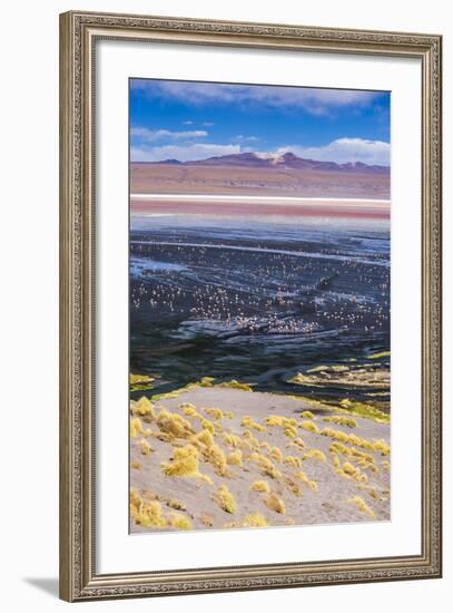 Flamingos at Laguna Colorada (Red Lagoon), Bolivia-Matthew Williams-Ellis-Framed Photographic Print