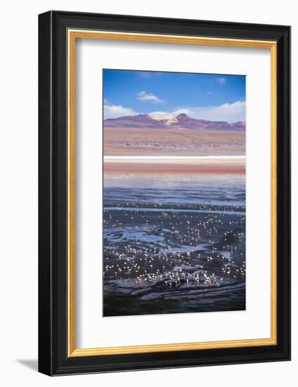 Flamingos at Laguna Colorada (Red Lagoon), Bolivia-Matthew Williams-Ellis-Framed Photographic Print